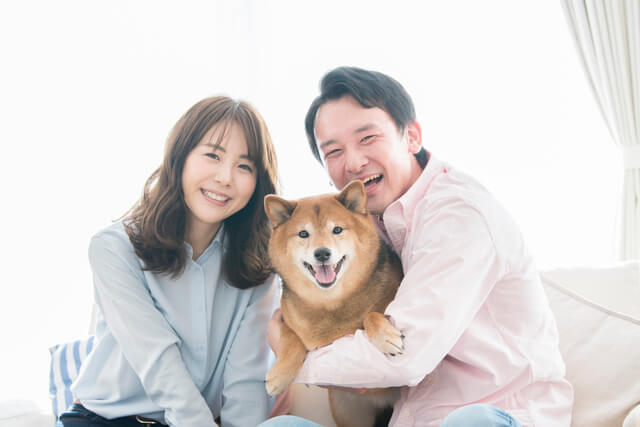 犬の散歩代行!?利用料金やメリットデメリットなどを解説!のサムネイル画像